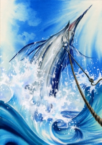 p51.jpg